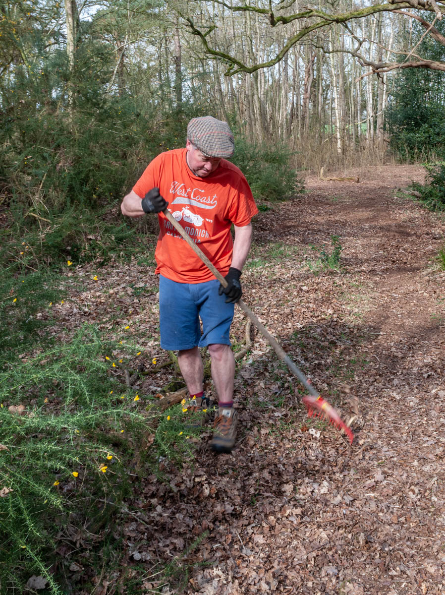 Woods tidy day 4
