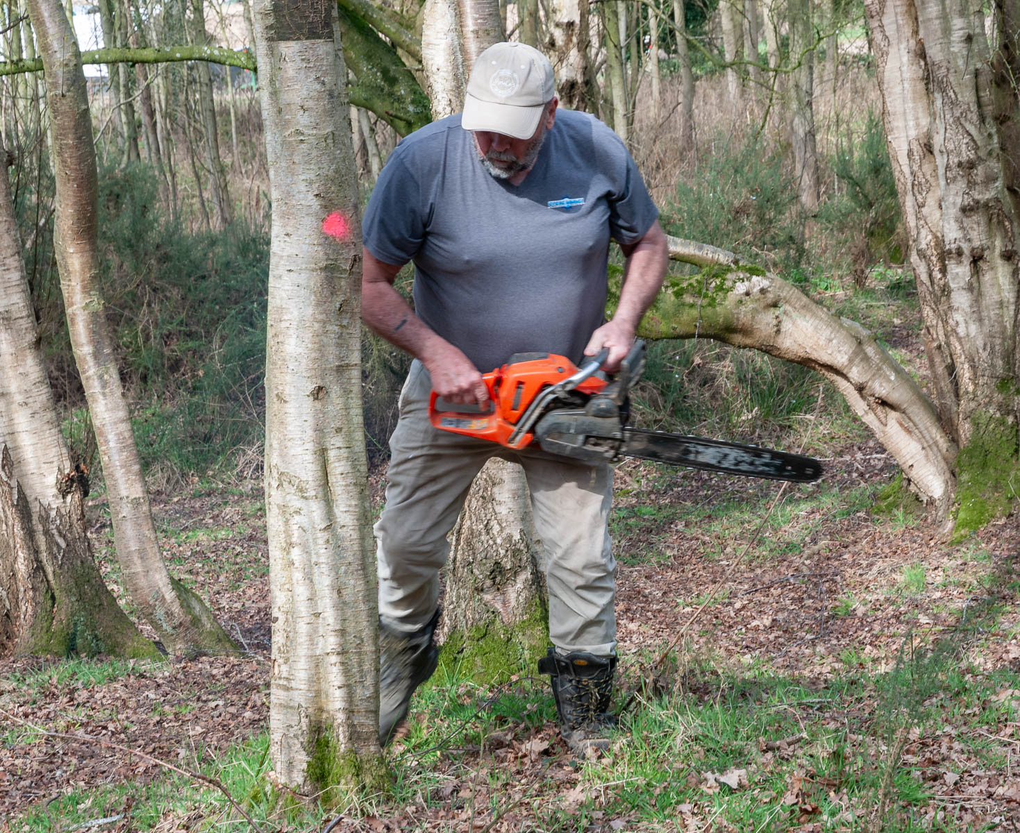 Woods tidy day 3